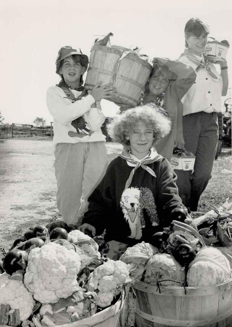 Free pickings, Clockwise from left are Guides Karen and Kristen Sparrow, 13, and 10, Jessica Wege, 14, and Caroline Schwarz, 12, with produce picked a(...)