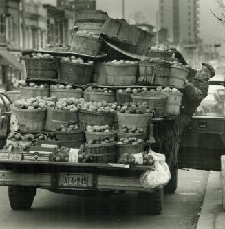 No one's going to upset Ziggy Pila's apple cart while he conducts his business yesterday on Bloor St