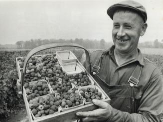 Metro's markets are aglow with fresh fruit and berries