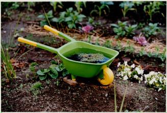 Gardens and Gardening - Equipment