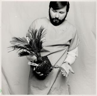 Root problem: Long girdling roots at the bottom of this Cycad revolutea indicate it's time to repot into a large pot, or cut back the roots and put back into the same pot