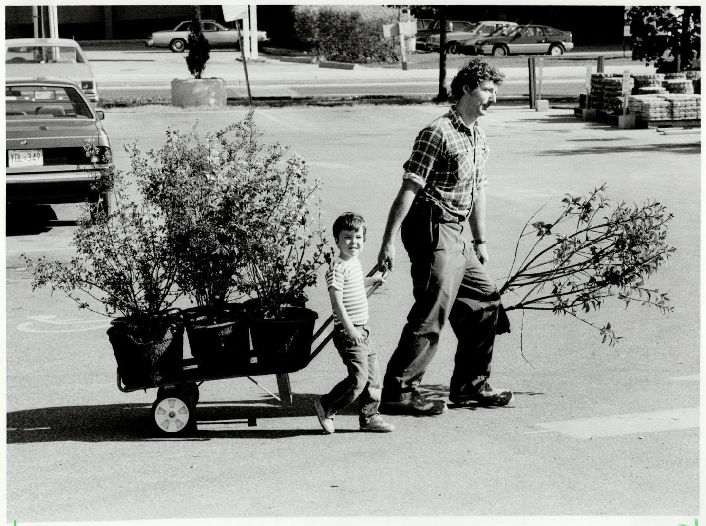 Greening of Metro: Fernand Boulanger, right, has a load of plants at Reeves Florist and Nursery