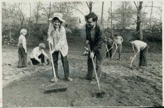 If you have good topsoil prepare your vegetable garden by turning with a spade and raking off stones