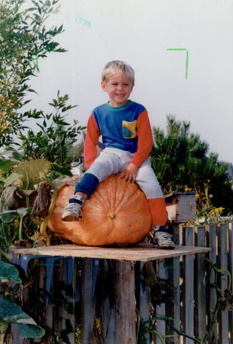 Dylan Lauzon of Clamington - Pumpkins