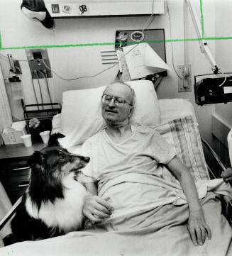 Patient's Best Friend, Sheepdog Katie has the right bedside manner with patient Peter Isert at Memorial Hospital in Bowmanville yesterday