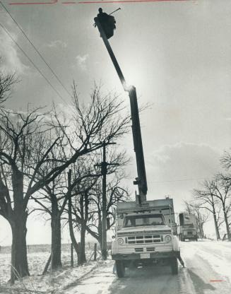 Baby, It's cold up there!, Ontario Hydro worker Vern Gunley, pruning trees along hydro lines at Steeles Ave