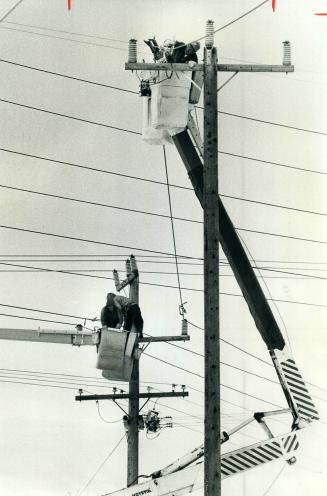 Another Hydro Pole goes up, Our studies show there's lots of power