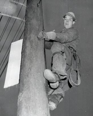 The final step before the lights go on again is taken by Frank sackfield up a hydro pole