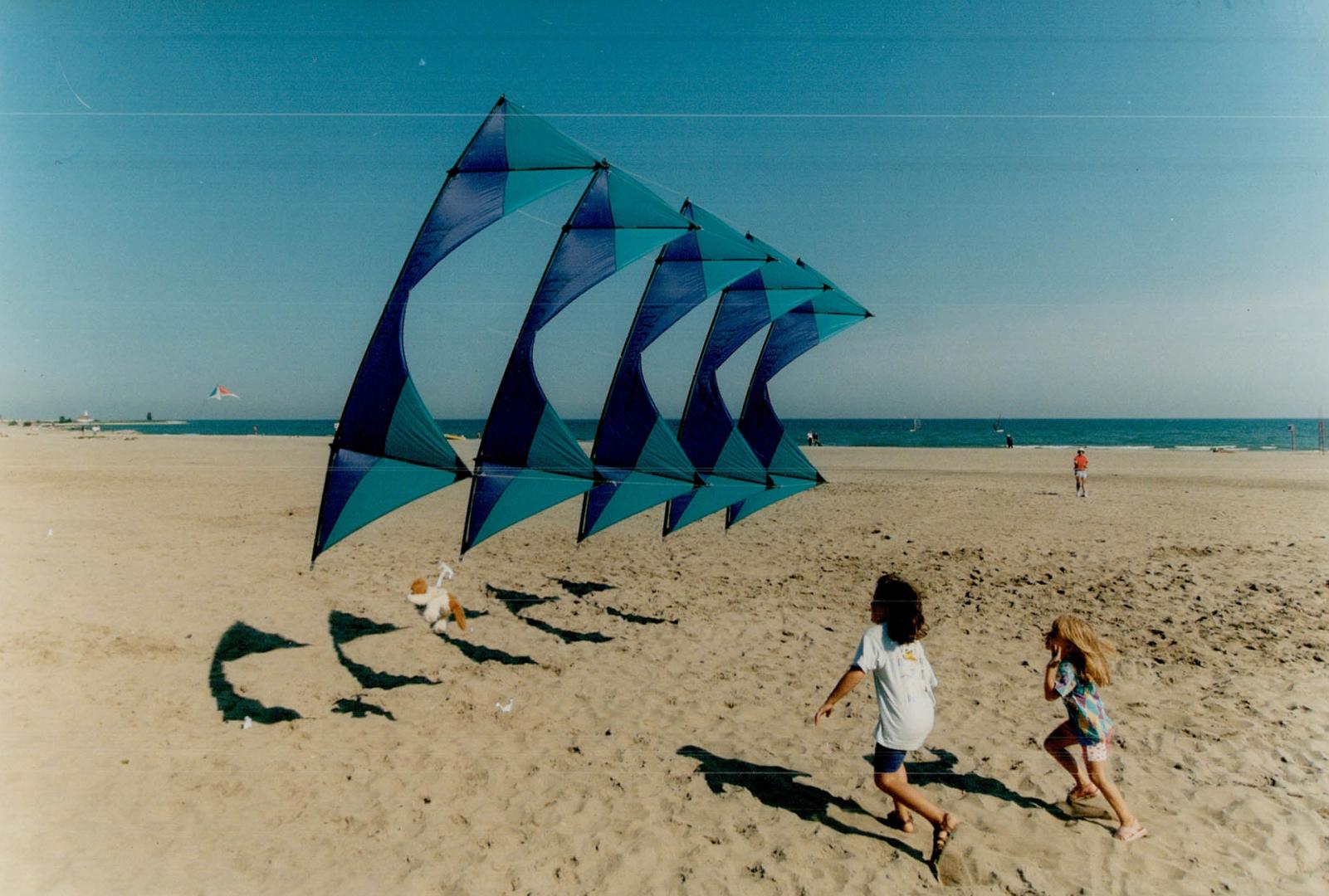 Kites