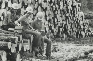 Their morning's work-that pile of tree trunks-behind them, slasher operator Joy Colehouse (centre) and crewmates Maurice Larose, (left, and Yvon Reiva(...)