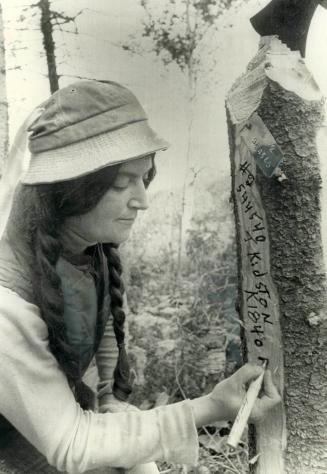 Staking a claim: Prospector Jocelyn Kidston marks an area she hopes will make her and husband Michael Dyment rich as they try to cash in on the great Kirkland Lake Gold Rush of '79