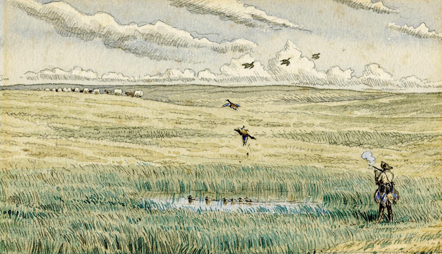 Duck Shooting near Oak Lake, Manitoba