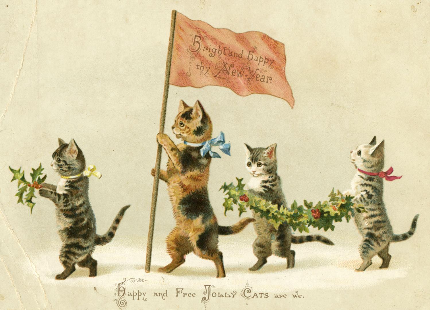 Happy and free jolly cats are we