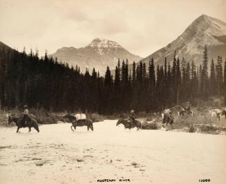 Kootenay River 11080-2 [riders and pack horses]