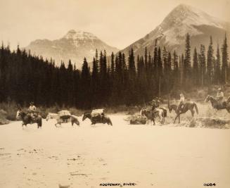 Kootenay River 11084 [riders and pack horses]