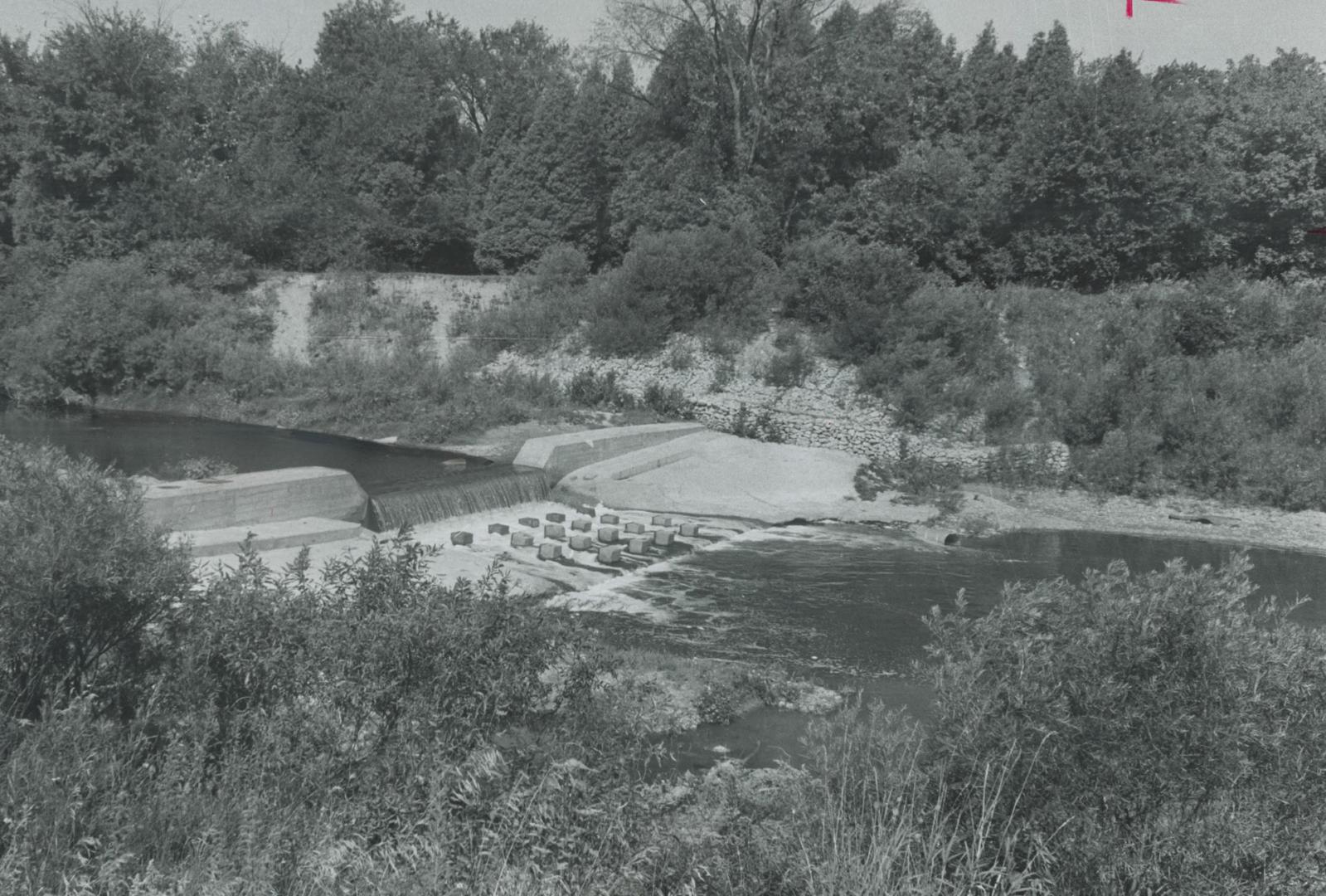 Creek pollution