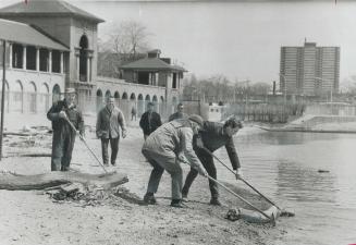 Combing the beach clean at Sunnyside, workers from the city parks and recreation department use rakes to clean up logs, tin cans, old tires and other (...)