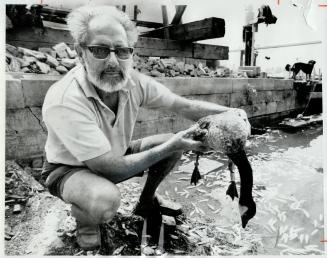 Dying Canada Goose is held by Jim Moore, owner of Moorhaven Marina, who found it in Frenchman's Bay