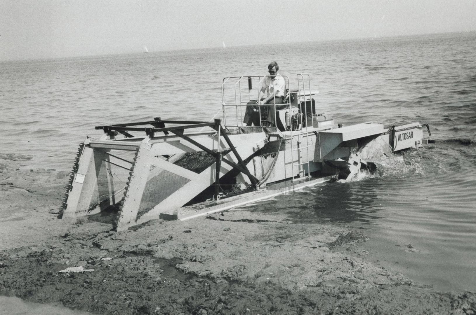 An algae-harvesting machine scoops up layers of rotting vegetation that has created a horrible stench on Etobicoke's lakefront