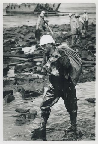 Beach Foulup: High-tech methods helped rid beaches of oil from the huge Exxon Valdez spill, but the cleanup may also have broken down the delicate shoreline ecology