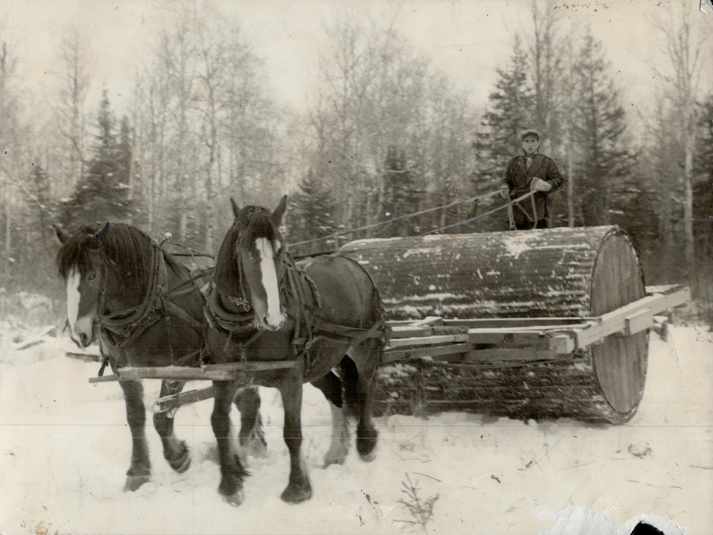 Trails wind throughout the bush country where the men put forth their efforts on a regular production schedule