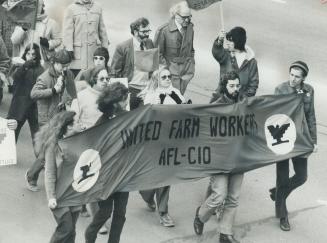 Supporters of the boycott of Californian grapes and lettuce in Toronto refute