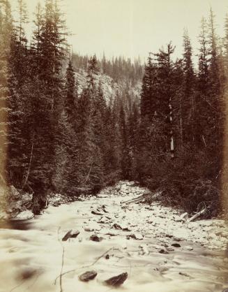 Mad River near its junction with the North Thompson River, B