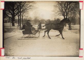 Mr. Cross and his bay gelding, Toronto