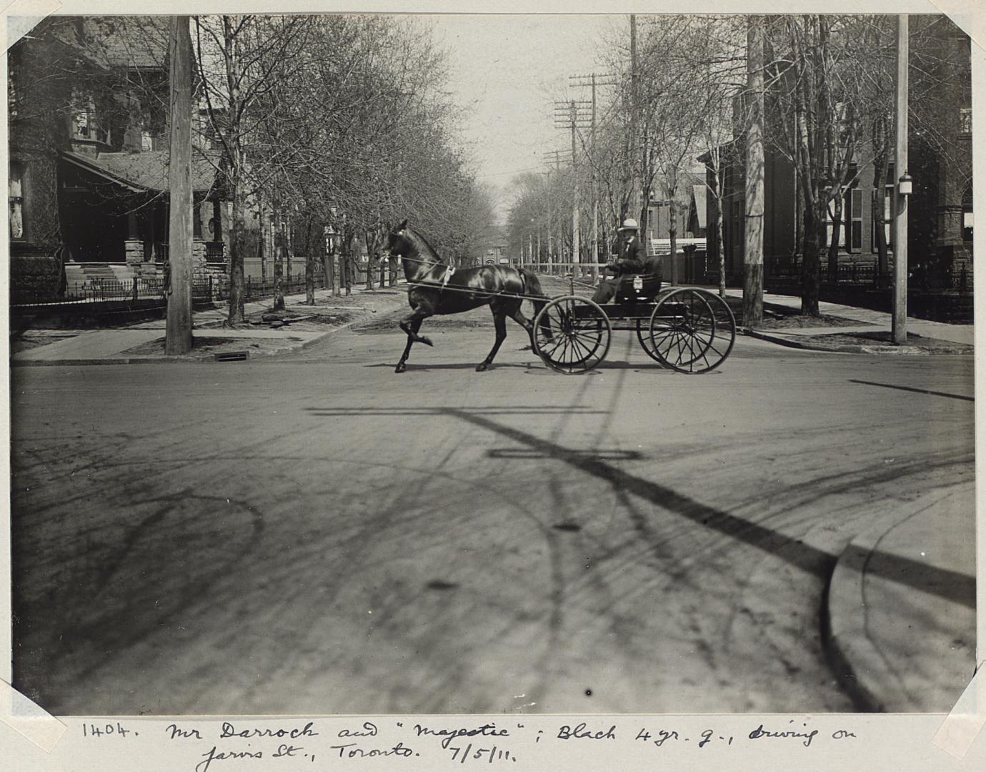 Mr. Darroch and 'Majestic'', Black 4 yr.g., driving on Jarvis St., Toronto