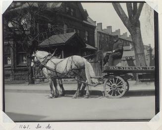 William Stevens, teamster, Toronto, Ontario