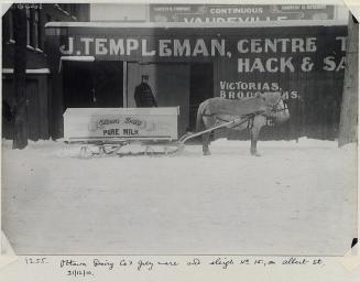 Ottawa Dairy Co's grey mare and sleigh No