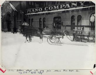 Ladder sleigh and grey pair, Ottawa Fire Dept