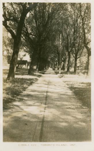 Photo of a wide sidewalk with large trees on each side and a glimpse of cottages in the backgro…