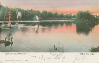 Colourized picture of swans swimming in a lagoon at sunset.