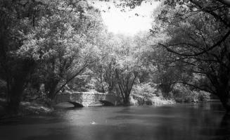 Riverdale Park, Zoo, pond