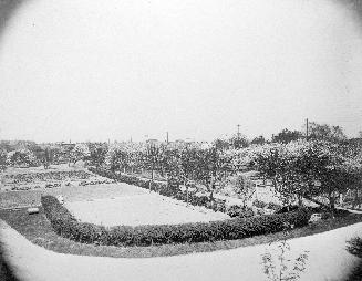 A photograph of the front yard of a house.