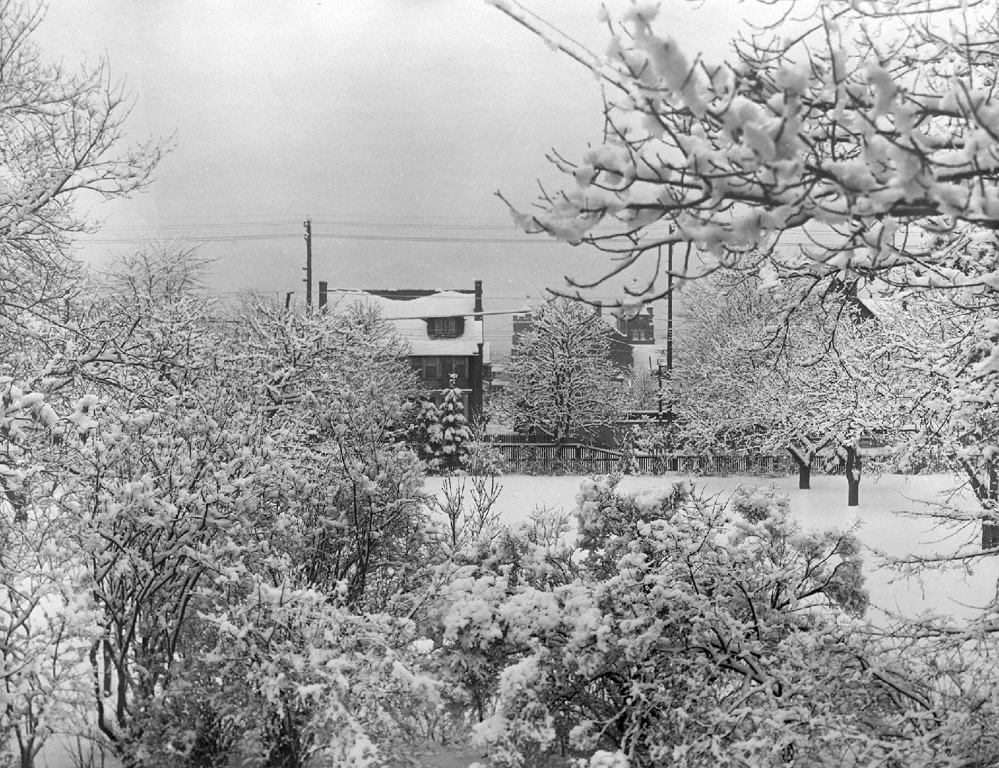 A photograph of a house partly obscured by bushes.