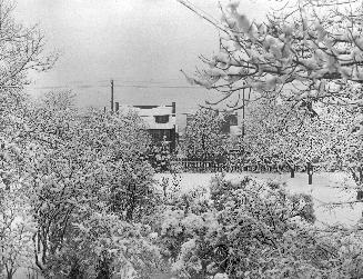 A photograph of a house partly obscured by bushes.