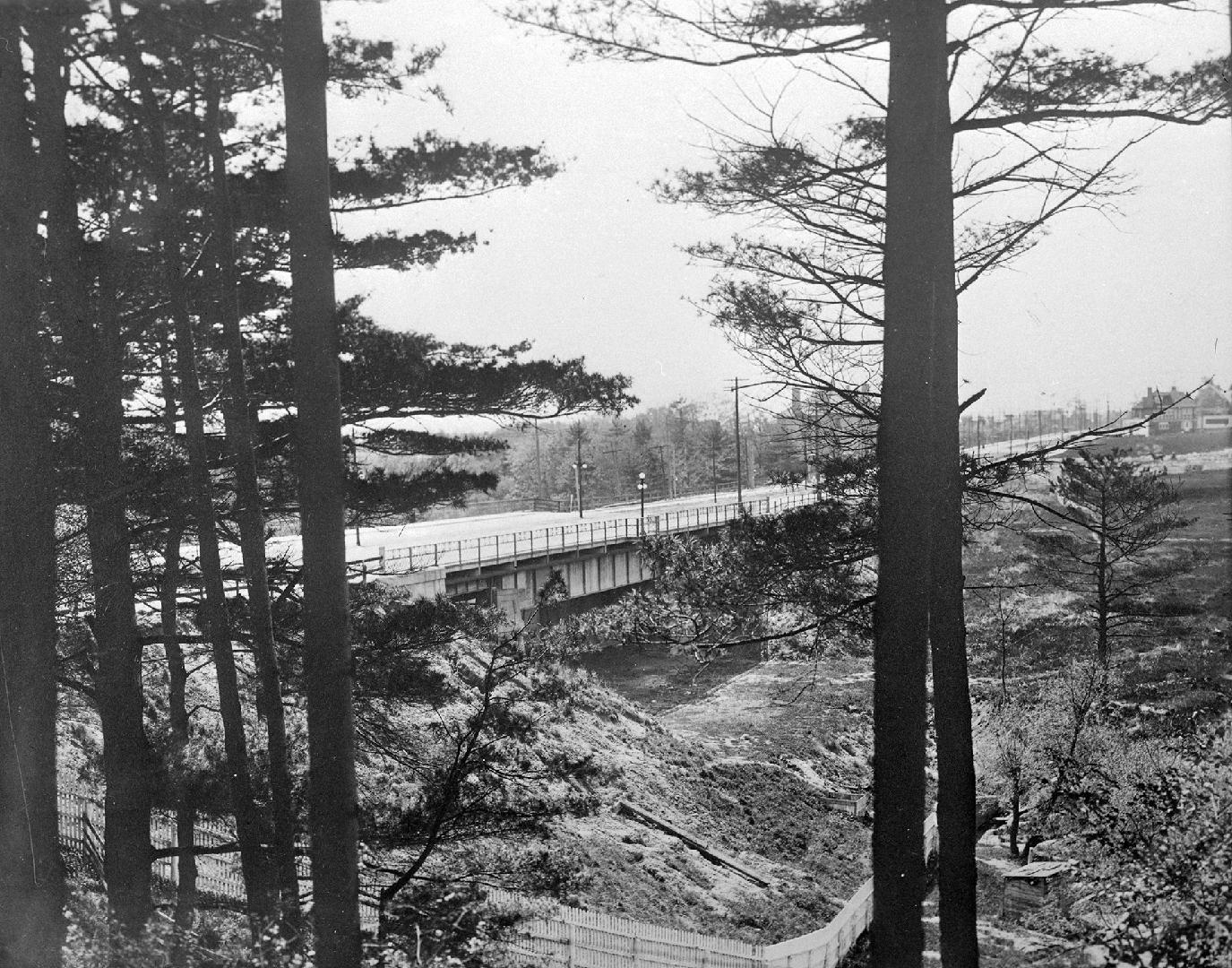 A photograph of a bridge partially obscured by trees.