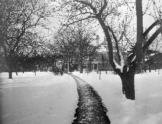 A photograph of a house partly obscured by trees.