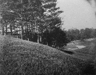 A photograph of a hilly area and some trees.