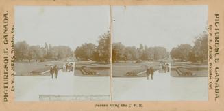 Pictures show groups of people walking on a paved path in a large park.