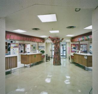 A photograph of an office area inside a public school, with desks and an artificial tree in the…