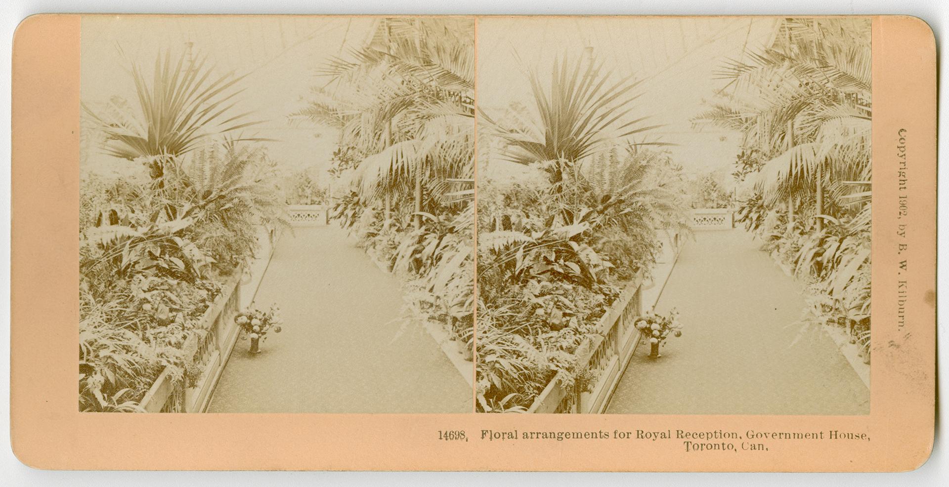 Pictures show a walkway in a green house with tropical plants.