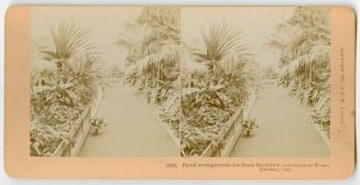 Pictures show a walkway in a green house with tropical plants.