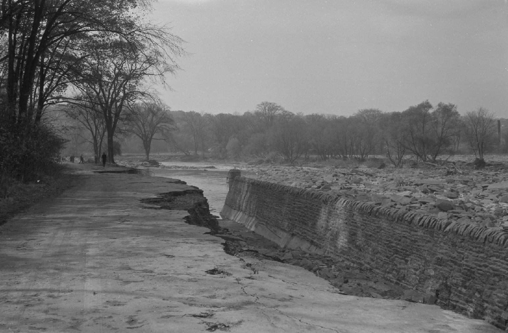 Humber River, looking southeast, just south of Old Dundas St