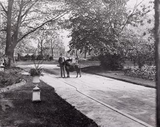 A photo of a man standing beside a pony in the drive of a home. In the distance is a two-storey…