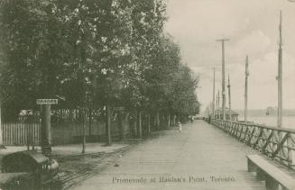 Picture of a wide boardwalk lined with trees on one side and a lake on the other. 