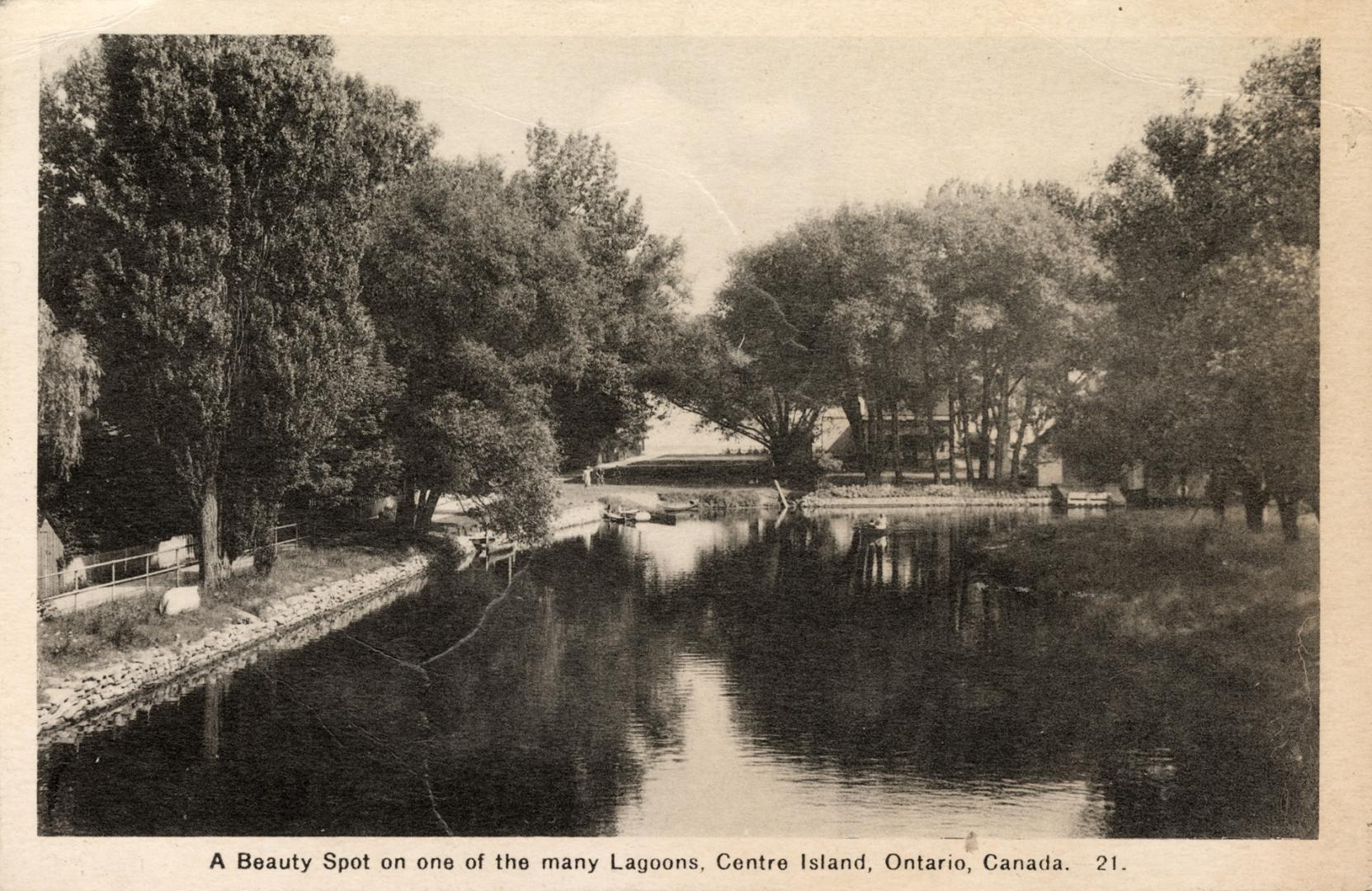 Picture of a lagoon surrounded by trees. 