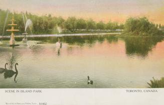 Sunset over a lagoon with a fountain and swans. 